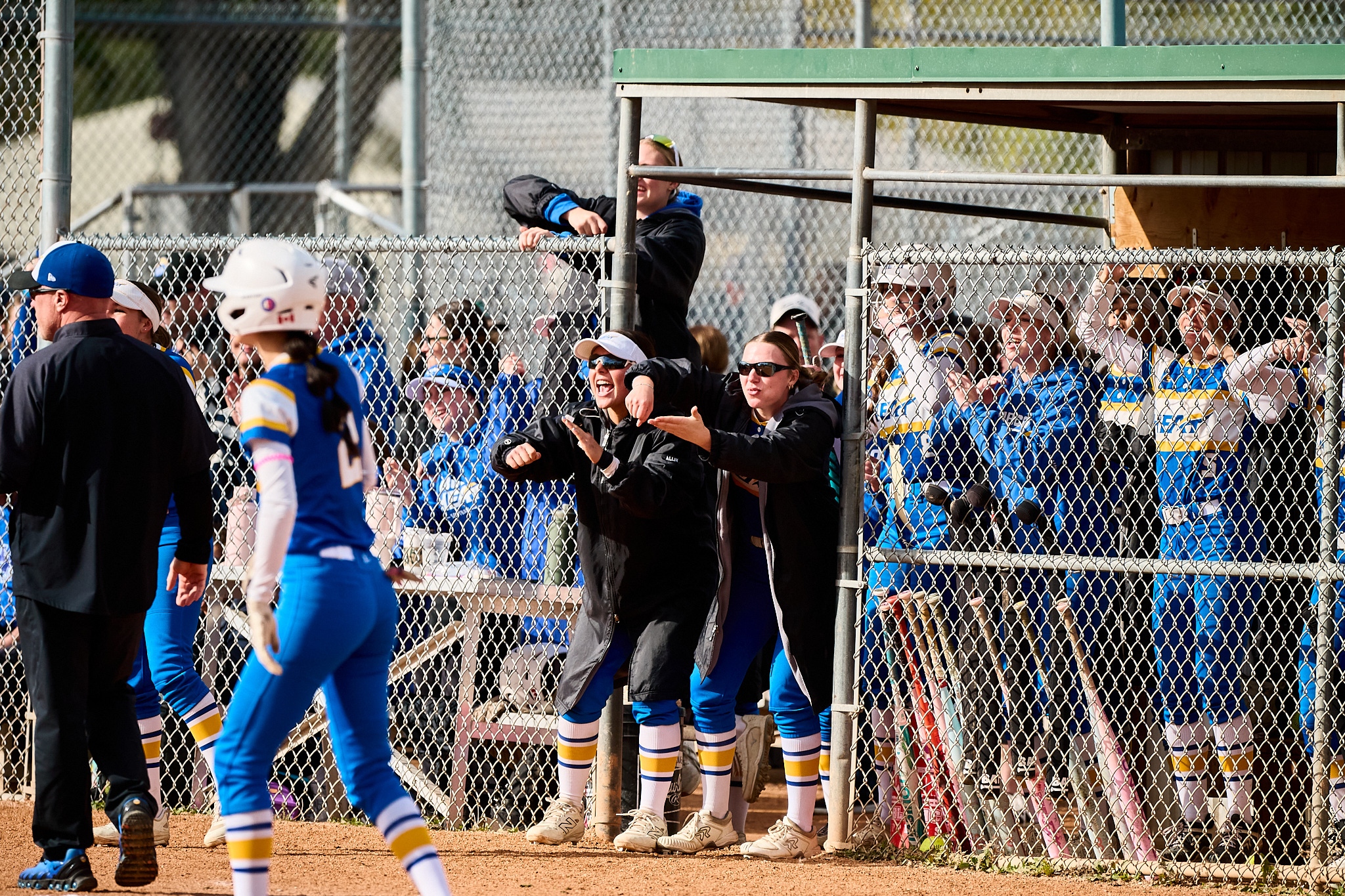 Behind the Scenes of the Softball Successes