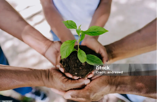 Let Sustainability Be the New Trend